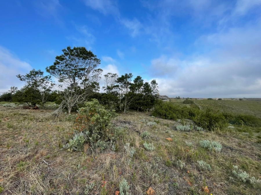 0 Bedroom Property for Sale in Gondwana Game Reserve Western Cape